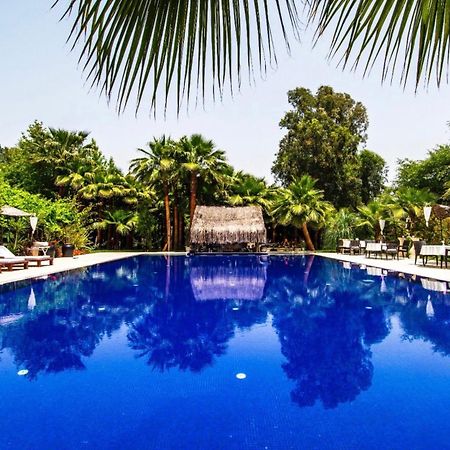 Bed and Breakfast Layla Gocek Adults Only Экстерьер фото